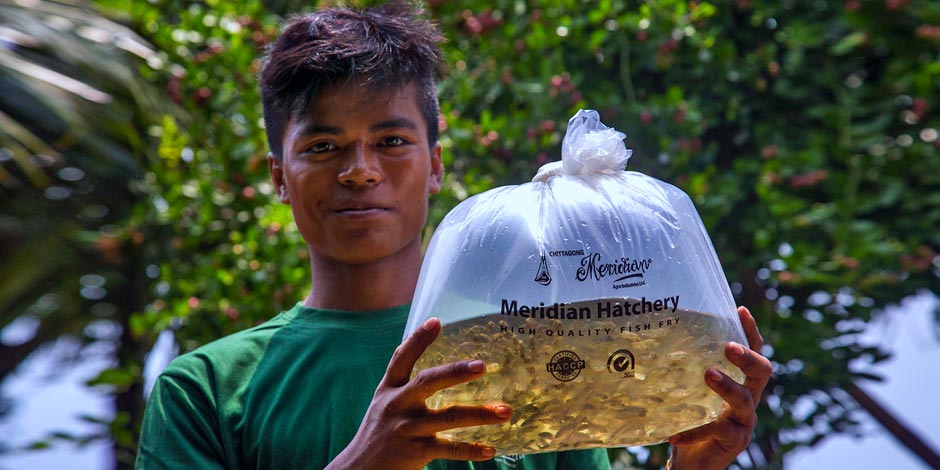 Hatchery Image